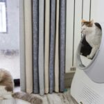 Two cats relaxing in a modern living room with an automated litter box near the window.